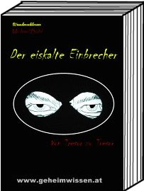 Der eiskalte Einbrecher -  Roman