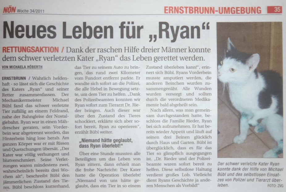 NÖN, Ryan Der Kater