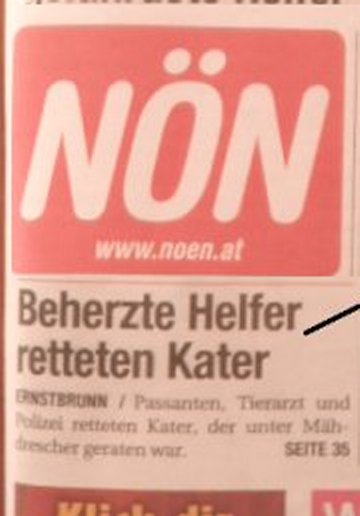 NÖN, Ryan Der Kater