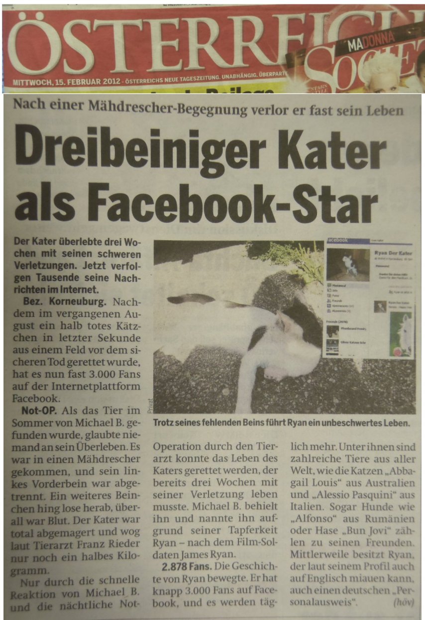 Österreich, Facebookstar